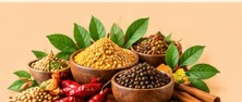 Natural spices selection